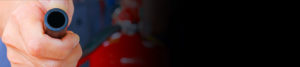 Services : conseils, audits, interventions 1